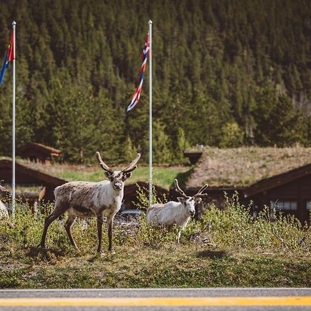 Saltdal Turistsenter Villa Storjord Eksteriør billede