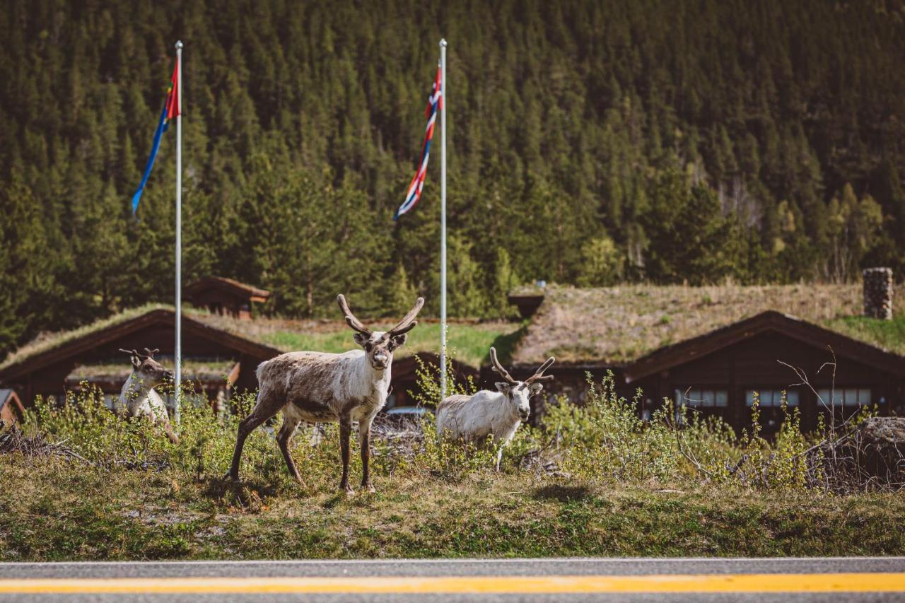 Saltdal Turistsenter Villa Storjord Eksteriør billede